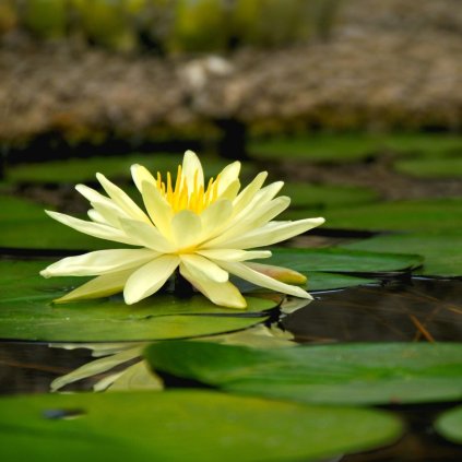 DM foto (42) Photoroom
