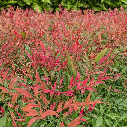 e4e46dd9 6ff5 43ba a0c0 cf21ed07a4ec