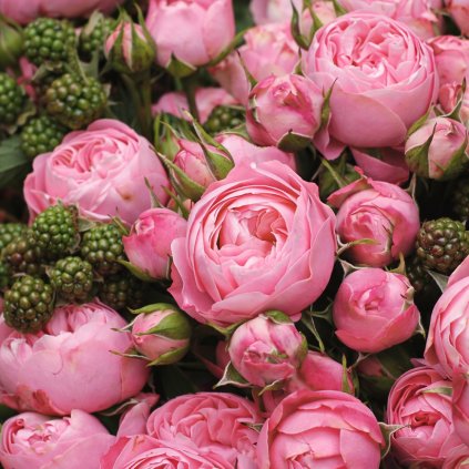 7a6b9189 1a27 465d a9da a7fca4a749ec