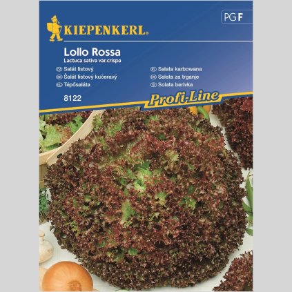 222 semenaSalatlistovy 2 1