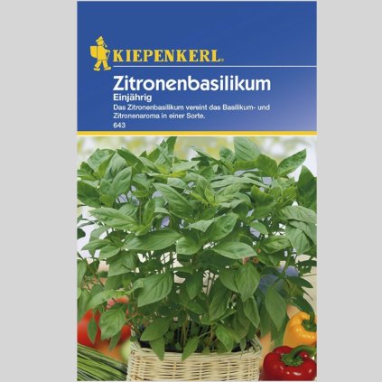 b1f7a0a95a5d11f1852f2320ea427baa 43902 (1)