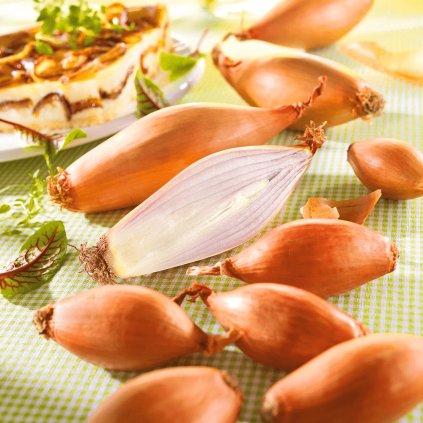 longor Photoroom (1)