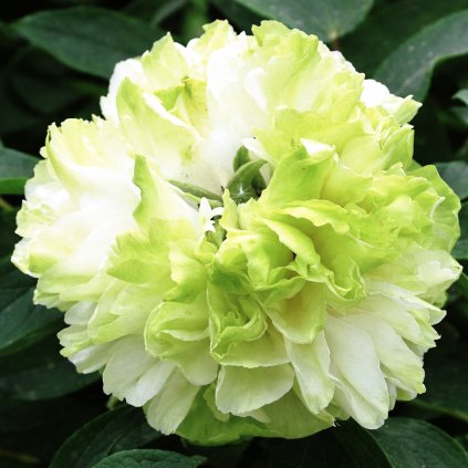 6b8fcff6 3055 46bb b46b 3e46e464a58b