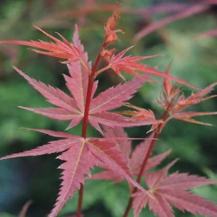 d71f29fd f534 48f1 9f8d 1bf4ed37721f