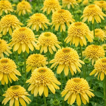 20dcd3b6 b130 486a 8e88 ac7061a94915