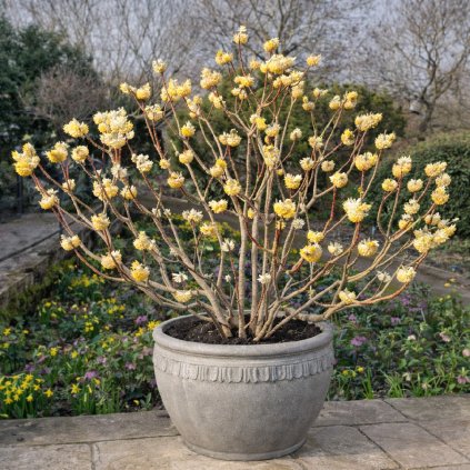 cf82db03 55a9 4f1c 9f8a e28c87925fe0