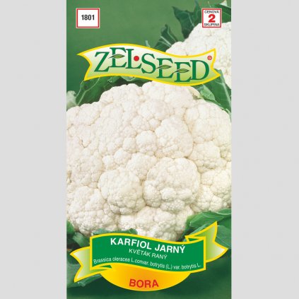 Zelseed semena karfiol bora 1