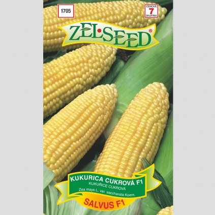 Zelseed semena kukurica salvus 1