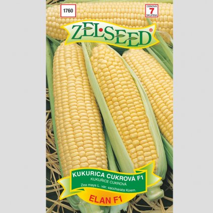 Zelseed semena kukurica elan 1