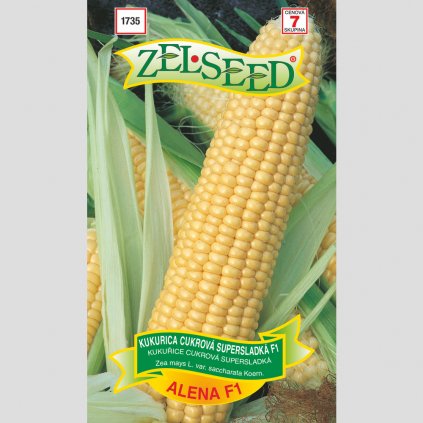 Zelseed semena kukurica alena 1
