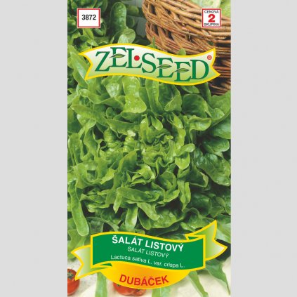 Zelseed semena salat dubacek 1