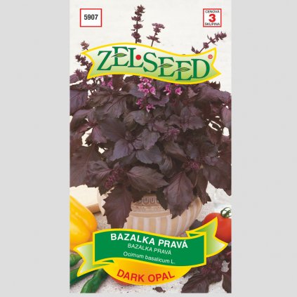 Zelseed Semena Bazalka Dark Opal 1