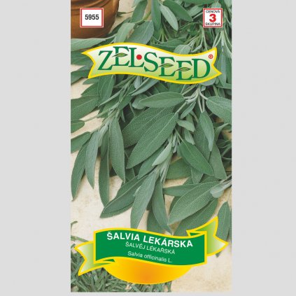 Zelseed Semena Salvia lekarska 1