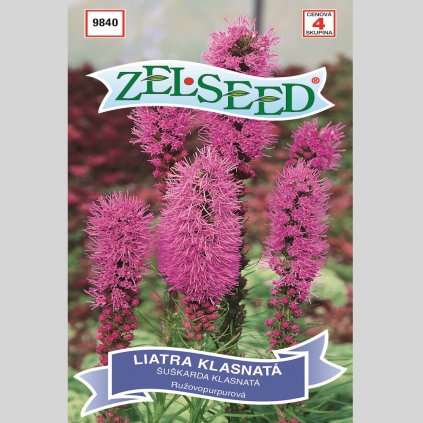 ZELSEED - SEMENÁ LIATRA KLASNATÁ RUŽOVOPURPUROVÁ (0,30 g)