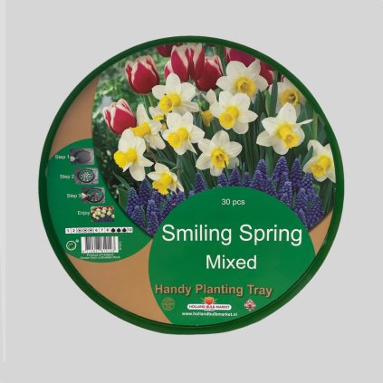 Cibuloviny Smiling Spring Mixed 1