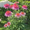 image Photoroom 2024 07 11T102200.715