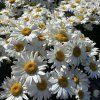 image Photoroom 2025 06 24T103328.026