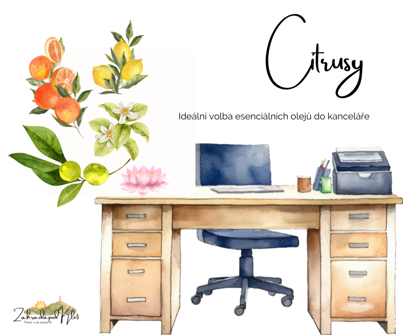 Citrusy jsou ideální volbou esencí do kanceláře