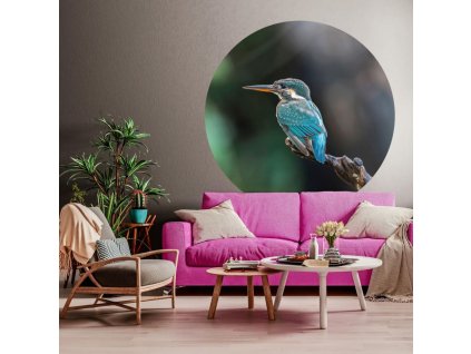 WallArt Kruhová tapeta The Kingfisher 142,5 cm