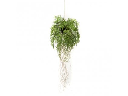 Emerald Umělá závěsná kapradina s kořeny 35 cm
