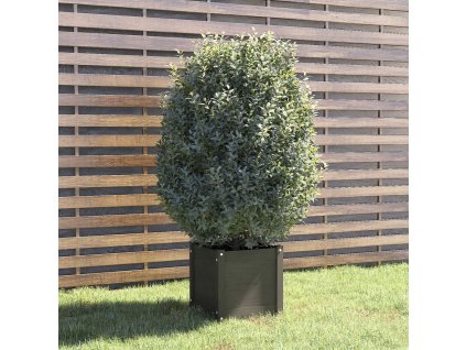 Zahradní truhlík šedý 40 x 40 x 40 cm masivní borovice