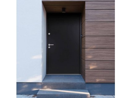 Vchodové dveře antracitové 100 x 200 cm hliník
