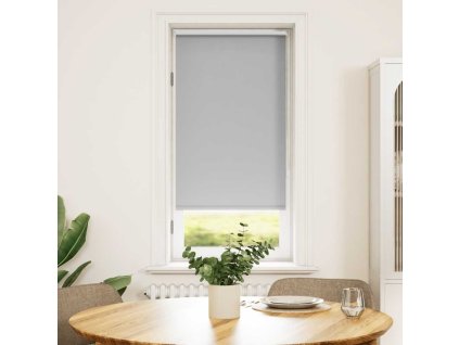 Zatemňovací roleta 64,4 x 120 cm, šířka látky 60 cm, šedá 240746