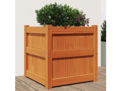 Zahradní truhlík voskově hnědý 50 x 50 x 50 cm masivní borovice 837418
