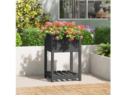 Truhlík s policí šedý 54 x 54 x 81 cm masivní borové dřevo 823775