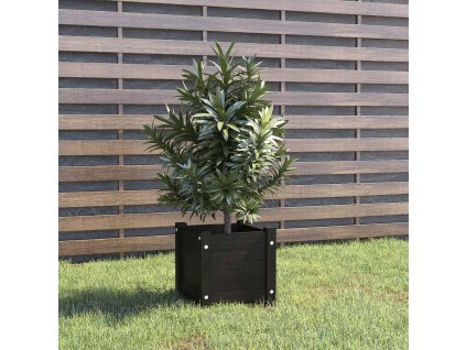 Zahradní truhlík černý 31 x 31 x 31 cm masivní borové dřevo 810530