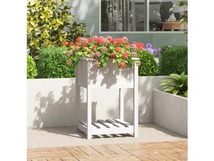 Truhlík s policí bílý 54 x 54 x 81 cm masivní borové dřevo 823774