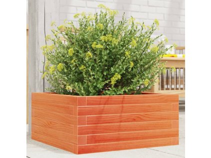 Zahradní truhlík voskově hnědý 50 x 50 x 23 cm masivní borovice 847185