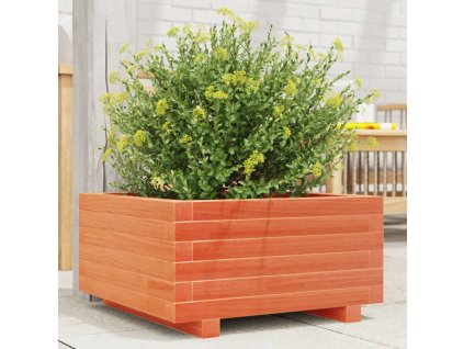 Zahradní truhlík voskově hnědý 50x50x26,5 cm masivní borovice 847295