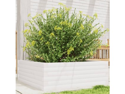 Zahradní truhlík bílý 70 x 70 x 23 cm masivní borové dřevo 847194