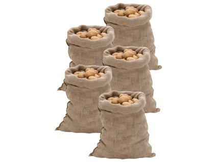 Jutové pytle 5 ks 60 x 105 cm 100% juta 220 g/m² 155777
