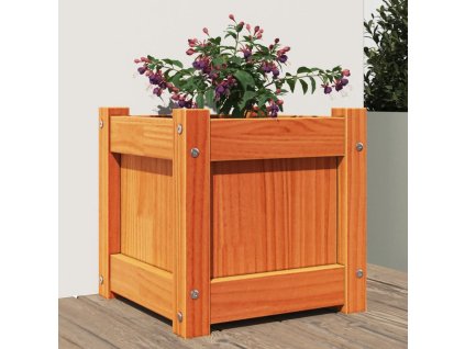 Zahradní truhlík voskově hnědý 31 x 31 x 31 cm masivní borovice 837398