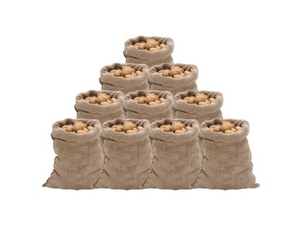 Jutové pytle 10 ks 60 x 105 cm 100% juta 220 g/m² 155778