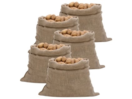 Jutové pytle 5 ks 100 x 110 cm 100% juta 220 g/m² 155781