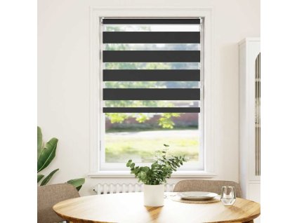 Roleta den a noc / Zebra / Twinroll 50x100 cm černá 240188