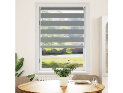 Zebrová roleta 100,9 x 175 cm, šířka látky 96,7 cm, šedá 240211