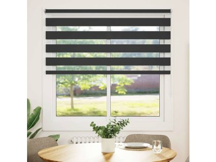 Roleta den a noc / Zebra / Twinroll 140x175 cm černá 240224