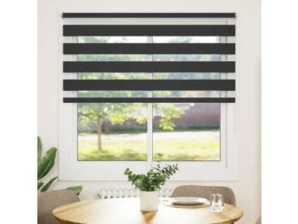 Zebrová roleta 120,9 x 175 cm, šířka látky 116,7 cm, černá 240216