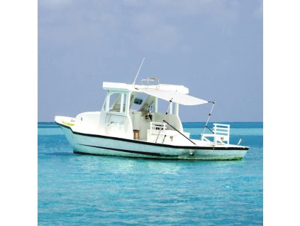 Nástavec na t-top stříšku bílý 170x170x(115-183) cm 94862