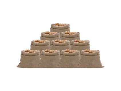 Jutové pytle 10 ks 100 x 110 cm 100% juta 220 g/m² 155782