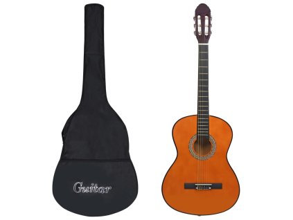 Klasická kytara pro začátečníky s obalem 4/4 39'' 3055601