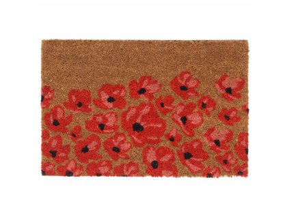 Rohožka před dveře přírodní 40 x 60 cm kokosové vlákno 155620