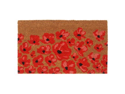 Rohožka před dveře přírodní 45 x 75 cm kokosové vlákno 155621
