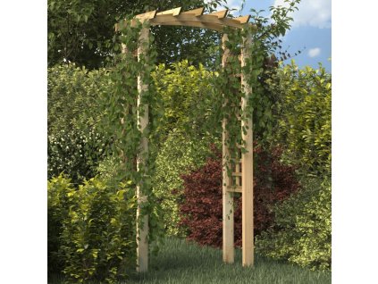 Trelážový oblouk 110x60x210 cm impregnovaná masivní borovice 318560