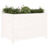 Zahradní vyvýšený záhon bílý 119,5x82,5x78 cm masivní borovice 825311