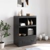 Highboard černý 67 x 39 x 95 cm ocel 841799
